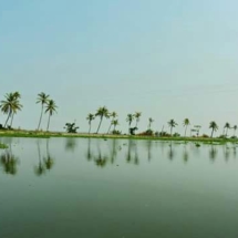 backwaters in kerala
